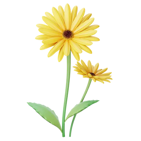 Gerbera  3D Icon