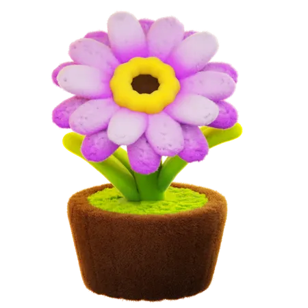 Gerbera-Blume  3D Icon