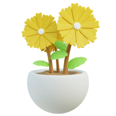 Gerberas jaunes  3D Icon