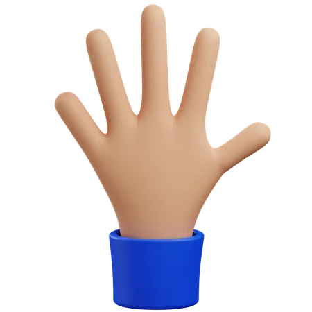 Gesto de cinco mãos  3D Icon