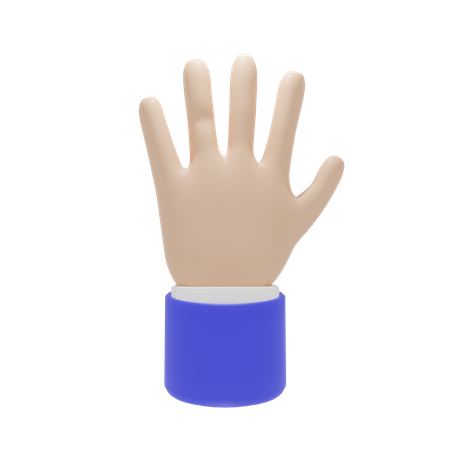 Gesto de la mano de cinco dedos  3D Icon