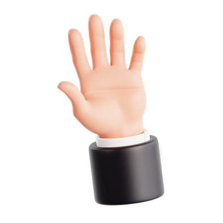 Gesto de la mano palma  3D Icon