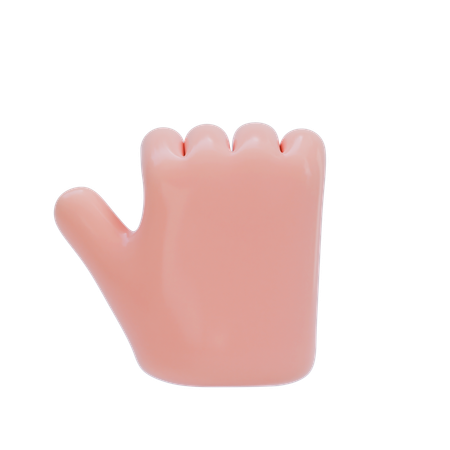 Gesto de la mano del puño  3D Icon