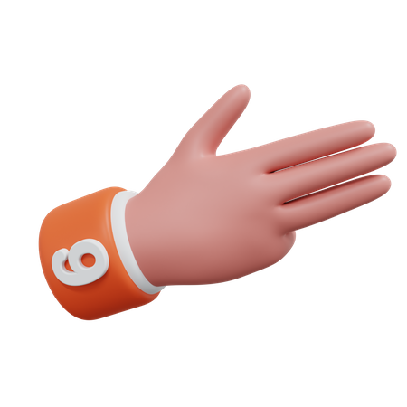 Gesture Numbers 9  3D Icon