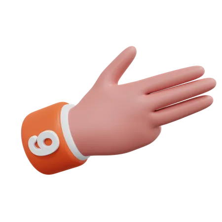 Gesture Numbers 9  3D Icon