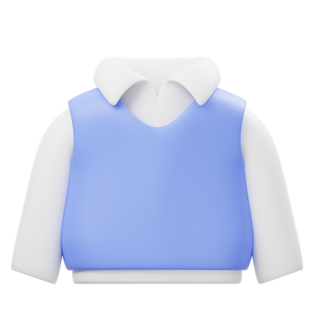 Pull gilet  3D Icon