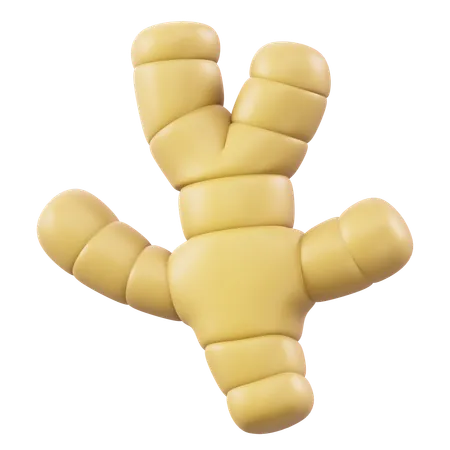 Ginger  3D Icon