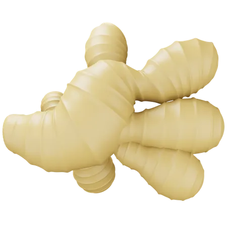 Ginger  3D Icon