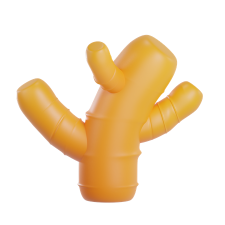 Ginger  3D Icon