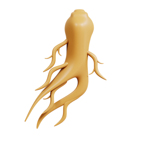 Ginseng  3D Icon