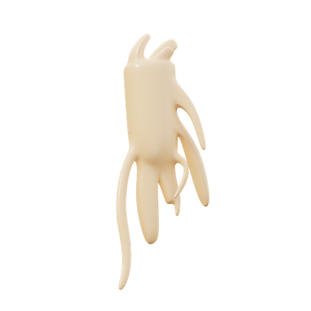 Ginseng  3D Icon