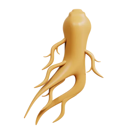 Ginseng  3D Icon