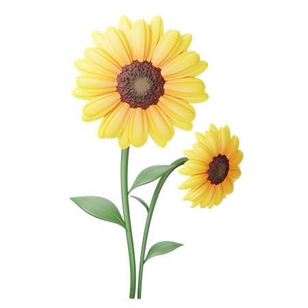 Girasol  3D Icon