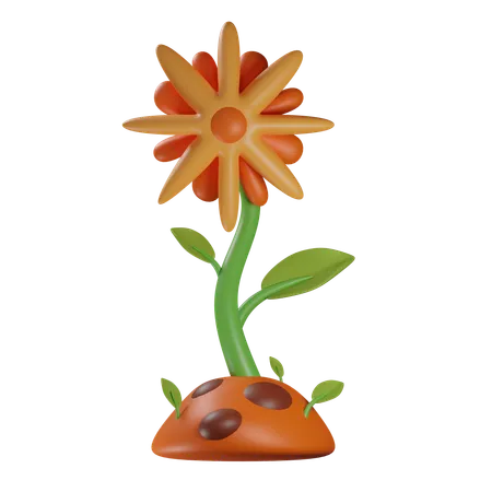 Flor del sol  3D Icon