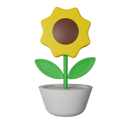 Girasol  3D Icon