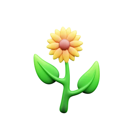 Girasol  3D Icon