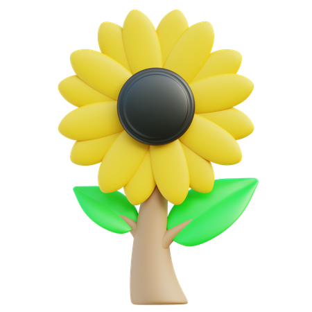 Girasol  3D Icon