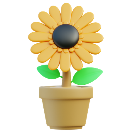 Flor del sol  3D Icon