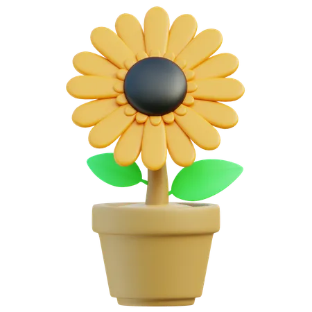 Flor del sol  3D Icon