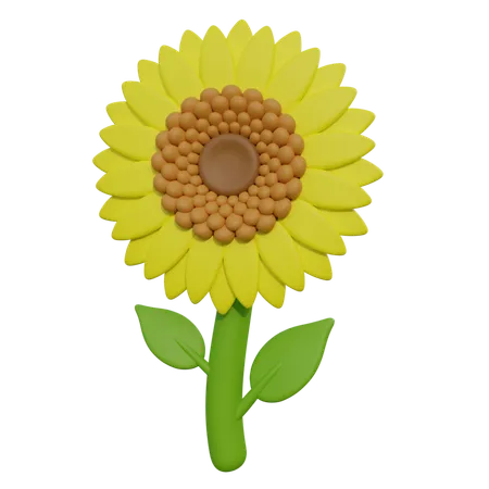 Flor del sol  3D Icon