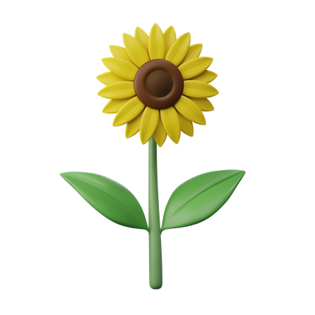 Girasol  3D Icon