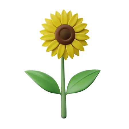 Girasol  3D Icon