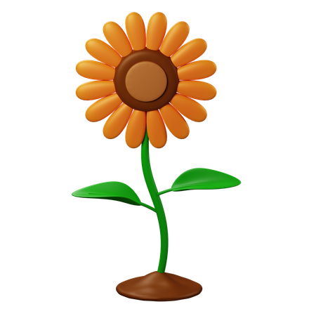 Flor del sol  3D Icon