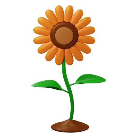 Flor del sol  3D Icon