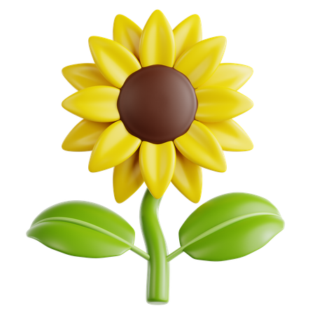 Girasol  3D Icon