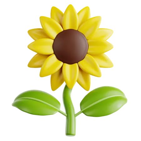 Girasol  3D Icon