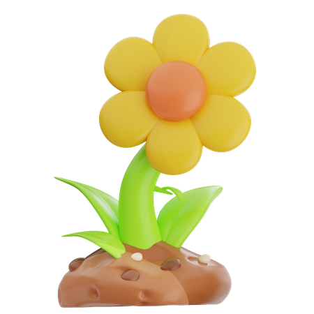 Girasol  3D Icon