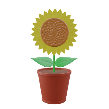 Girasol  3D Icon