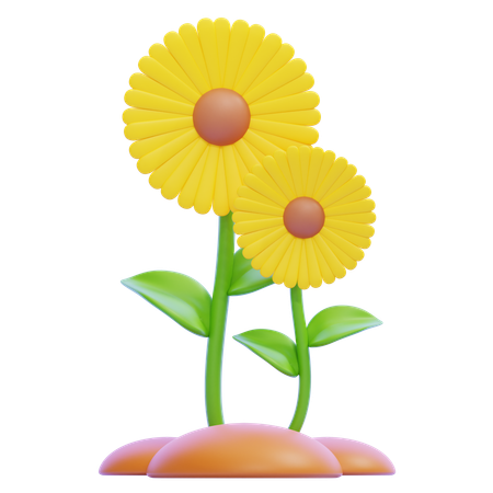 Girasol  3D Icon