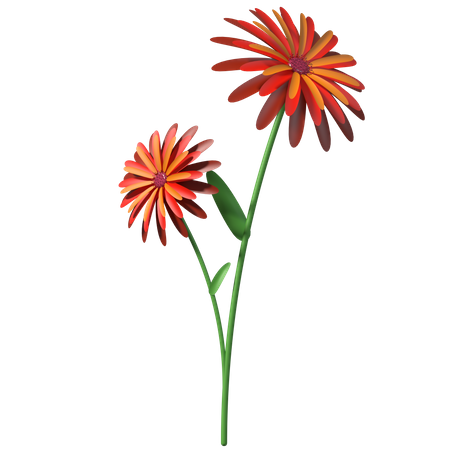 Girasol  3D Illustration