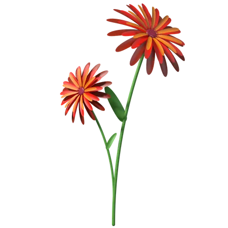 Girasol  3D Illustration