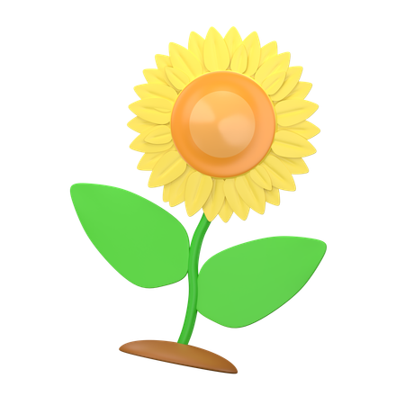 Flor del sol  3D Icon