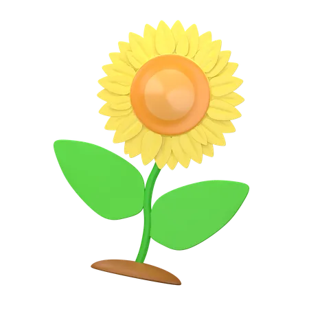 Flor del sol  3D Icon