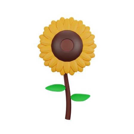 Girasol  3D Icon