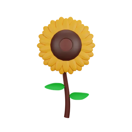 Girasol  3D Icon