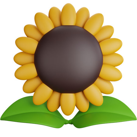 Girasol  3D Icon