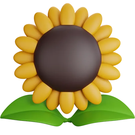 Girasol  3D Icon