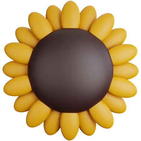 Girasol  3D Icon