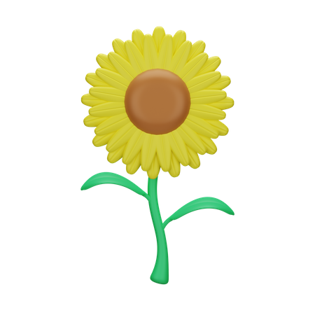 Girasol  3D Icon