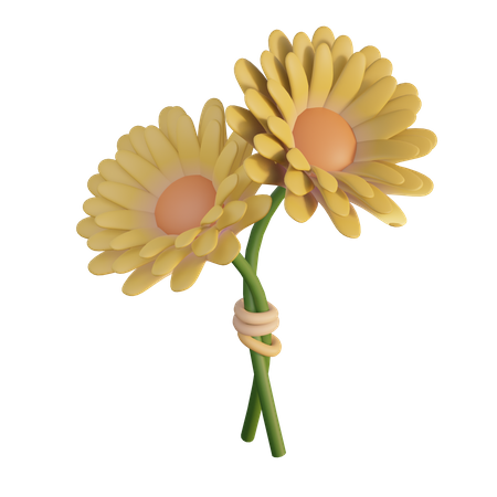 Flor del sol  3D Icon