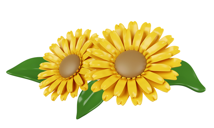 Girasol  3D Icon