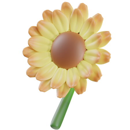 Flor del sol  3D Icon