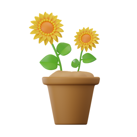 Flor del sol  3D Icon
