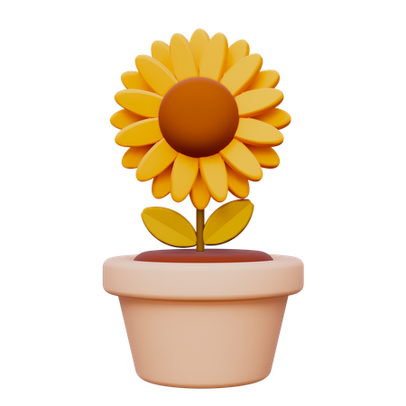 Flor del sol  3D Icon