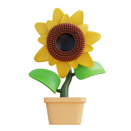 Girasol  3D Icon