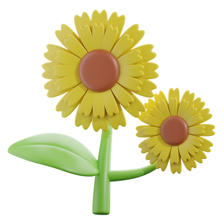 Girasol  3D Icon